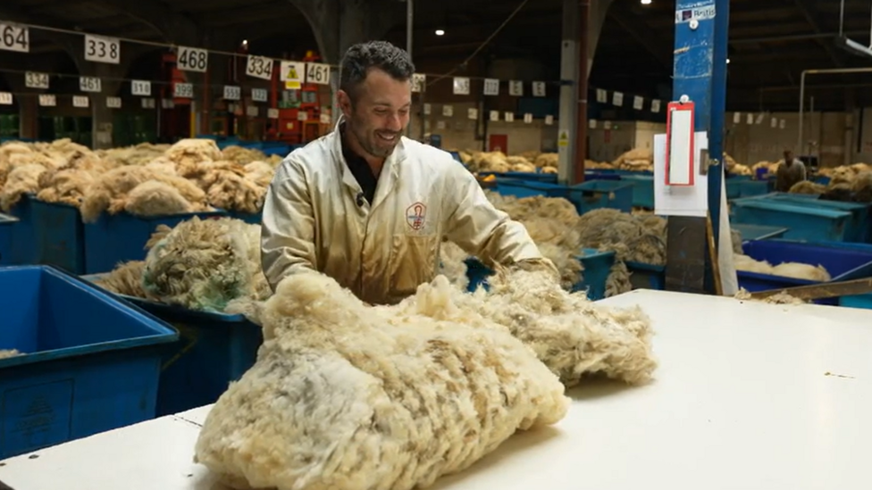 A man smiling in a white jacket looking and analysing a sheep fleece