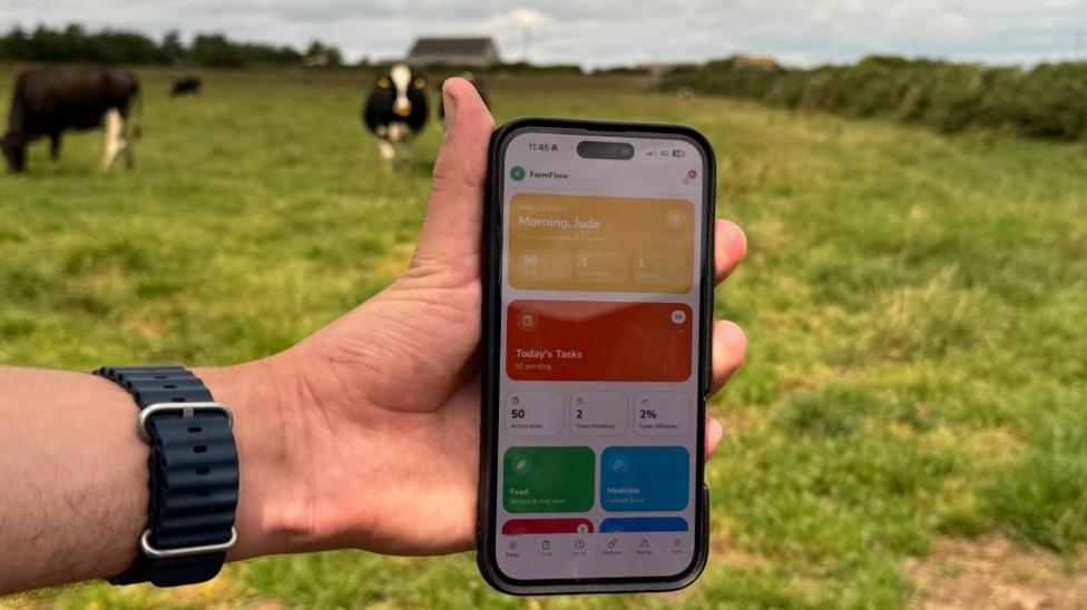 A close up picture of a man's hand, holding a mobile phone. An app can be seen opened on the phone screen. In the background, there are black and white cows standing in a green field.