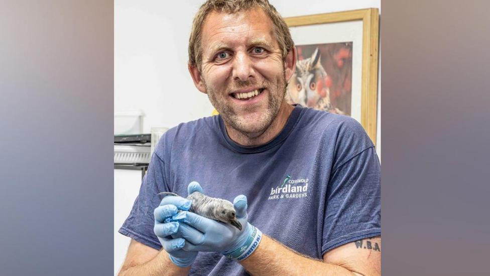 Alistair King smiles at the camera and holds up the small, grey, king penguin chick. It is about the same size of the palm of his hand.