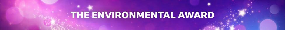 Purple, sparkly Make a Difference Award branded 'The Environmental Award' graphic.