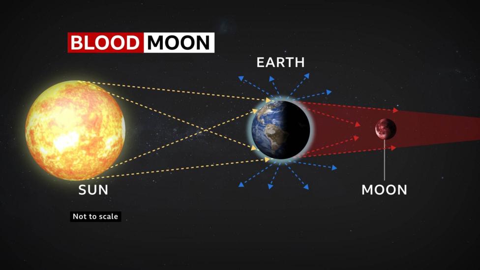 A diagram showing the Earth positioned in between the Sun and the Moon. The graphic represents how the light travels from the Sun and through a larger portion of the Earth's atmosphere. The shorter wavelength blue light scatters more easily and the longer wavelength red light shines onto the surface of the Moon and reflects back to us here on Earth.