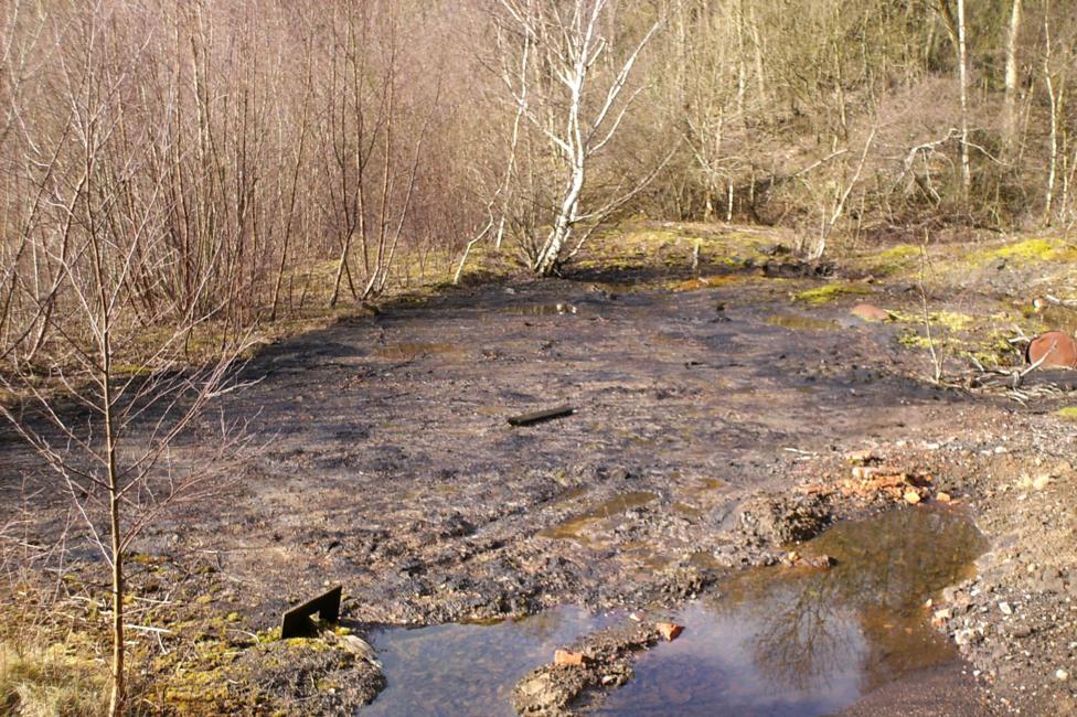 Sludge and mud and a little bit of water is visible in a ditch surrounded by shrubs.