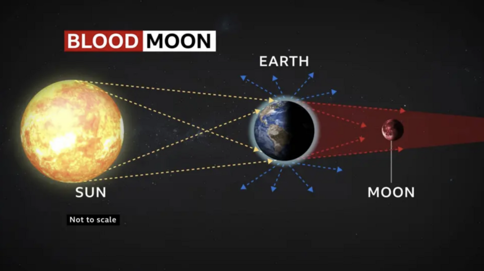 A diagram showing the Earth positioned in between the Sun and the Moon. The graphic represents how the light travels from the Sun and through a larger portion of the Earth's atmosphere. The shorter wavelength blue light scatters more easily and the longer wavelength red light shines onto the surface of the Moon and reflects back to us here on Earth.
