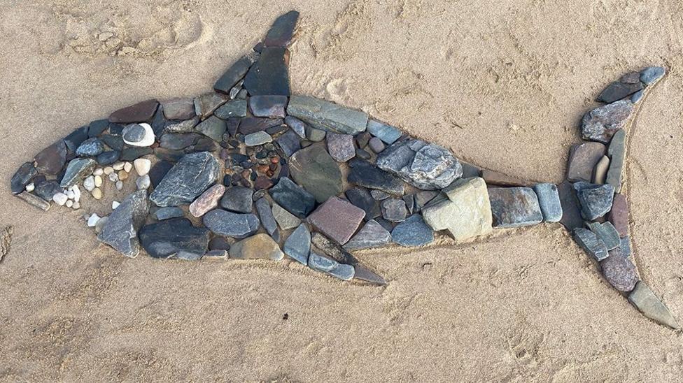 A shark shape created from assorted stones and pebbles arranged on sand, with white pebbles used to form the eye and teeth.