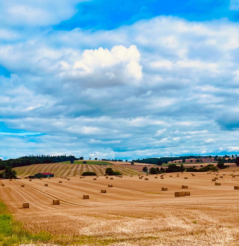 Golden harvested fields dotted with rectangular hay bales stretch across the rolling countryside near Perth.