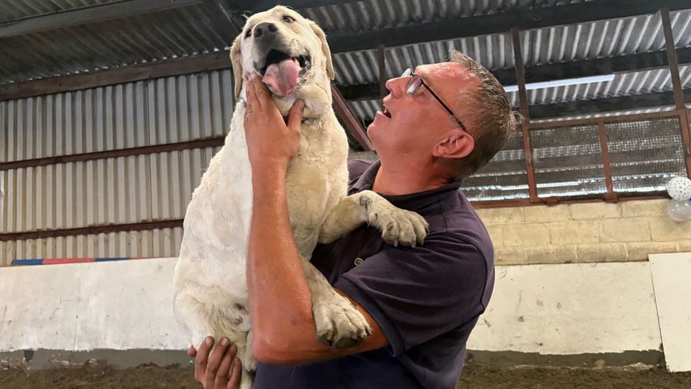 Tilly, a white haired labrador is help aloft by her owner Meirion. He is wearing a short sleeved shirt and spectacles.