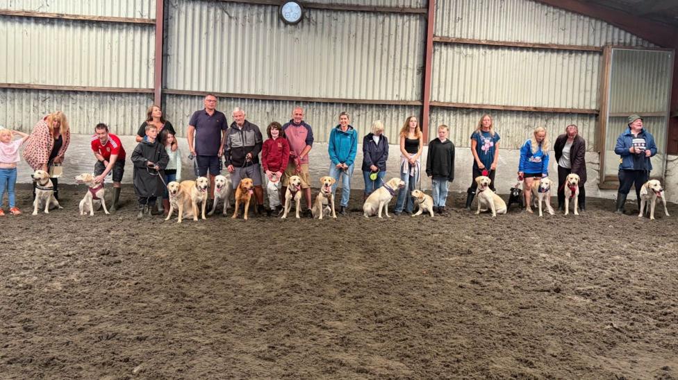 A photograph of 14 labradors and their owners, all standing in a long line.