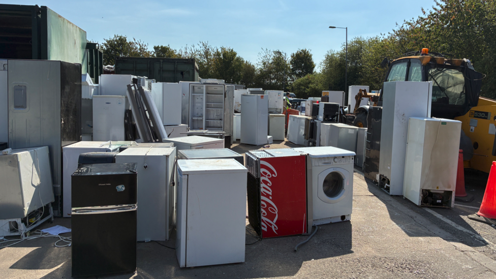 More than 20 appliances are close to each other outside, with bushes in the background near the top of the image.