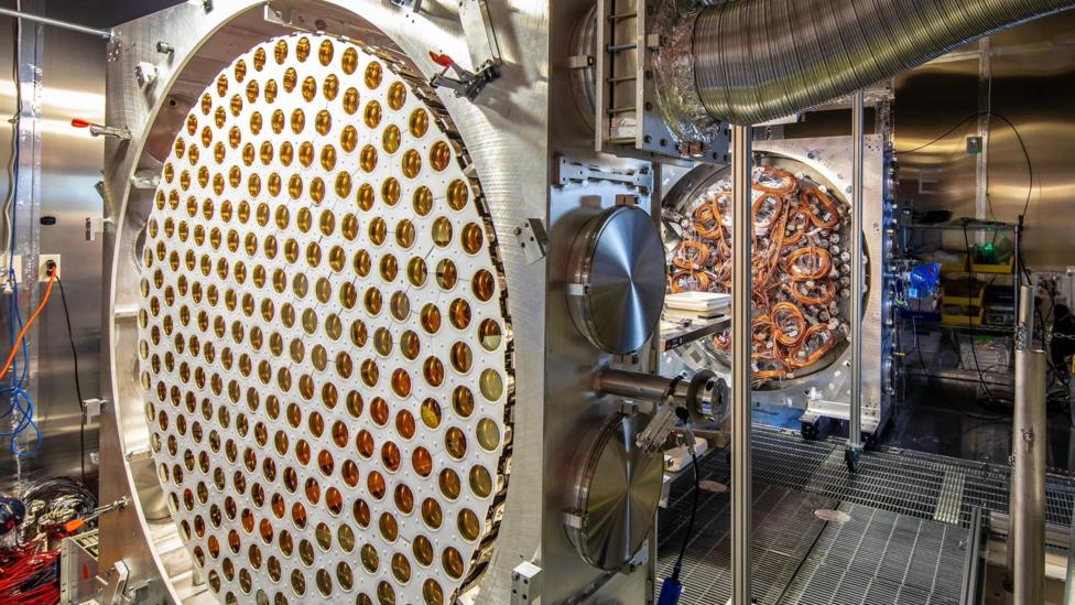 Inside the LZ chamber, with dozens of tubes which capture light from particle interactions.