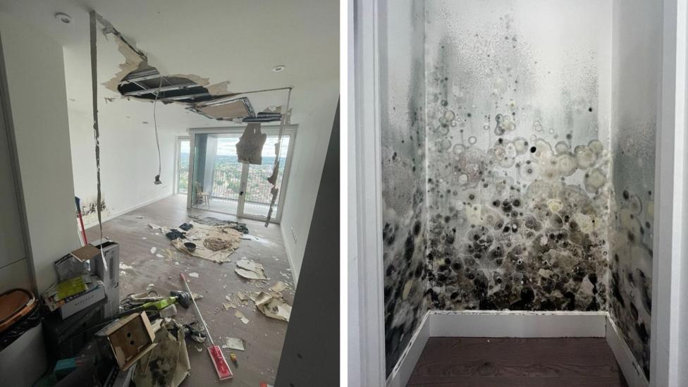 A split image showing severe interior damage. The left side depicts a room with a collapsed ceiling exposing insulation, scattered debris, broken drywall and water‑stained surfaces. Large windows overlook a cityscape. The right side shows a close‑up of a small enclosed area heavily infested with mould in dense black, grey and white clusters.