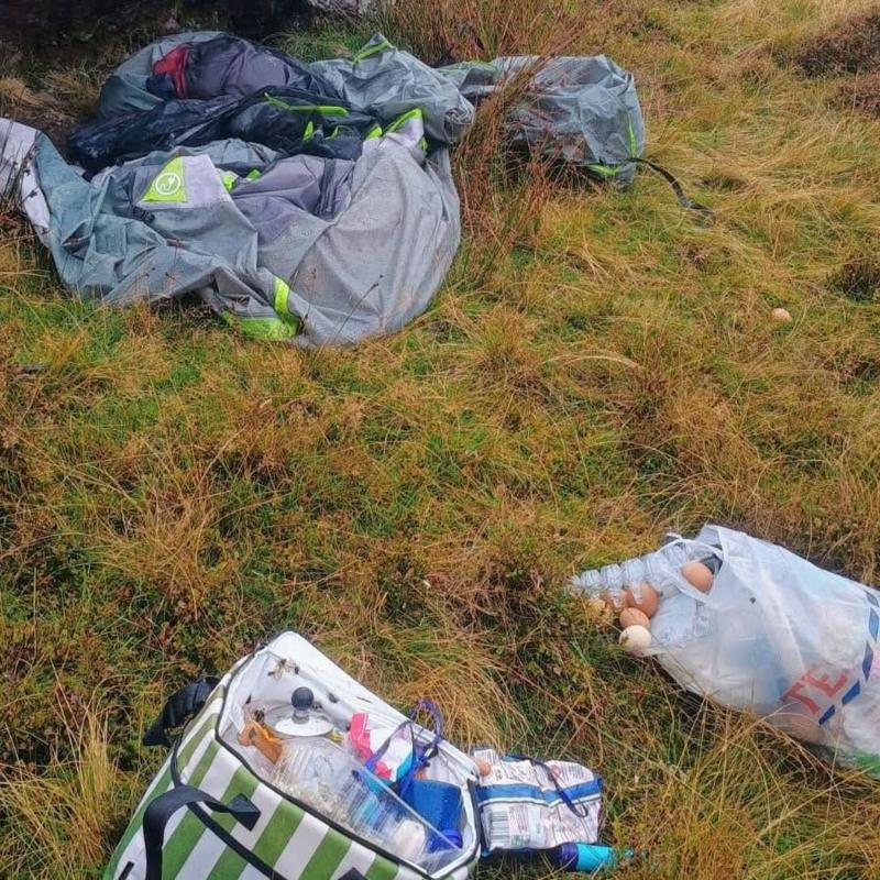 A patch of grass with discarded plastic bags and lunch boxes, with food leftovers and bugs in them.