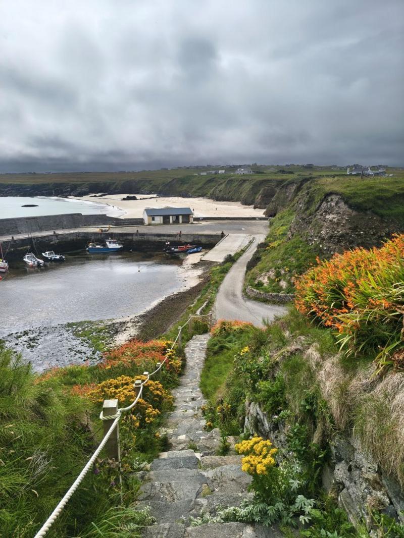 Stone steps leading down to a harbour on the Isle of Lewis. A white sand beach is in the background and there are small fishing boats moored in the water. Bright orange and yellow flowers line the path and the sky is dark grey and cloudy.
