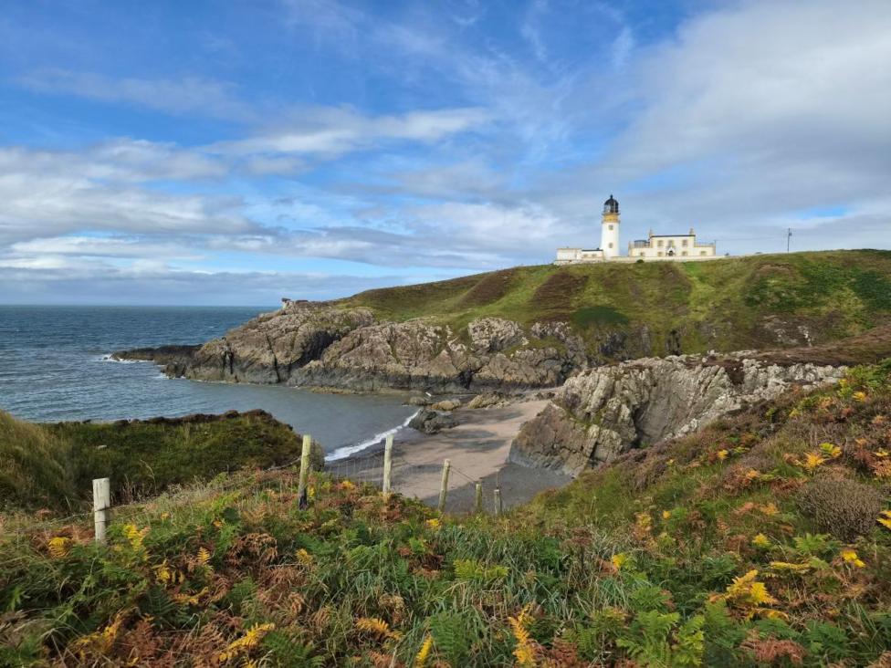 A lighthouse on the top of a cliff. A path leads down to the beach and there are bushes lining the cliffs.