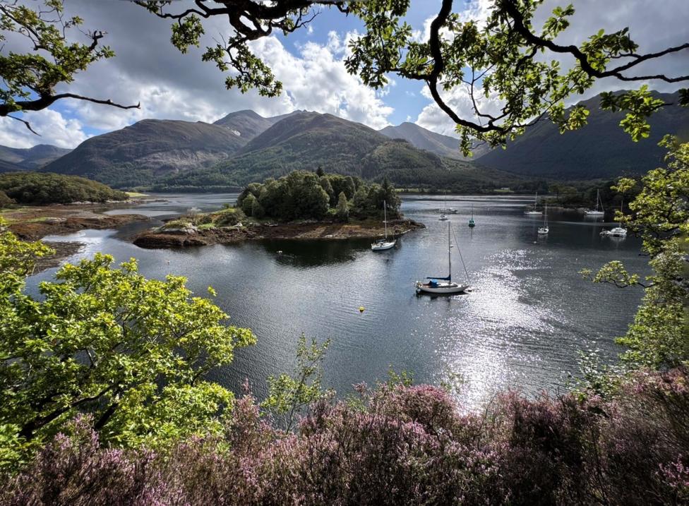 An island in the middle of a loch with hills in the background. Boats are anchored in the water and there are heather bushes and trees in the foreground.