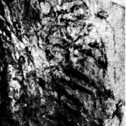 Shown in black and white: a series of parallel diagonal lines etched into a limestone wall, which in subsequent millennia have been covered in a calcified coating
