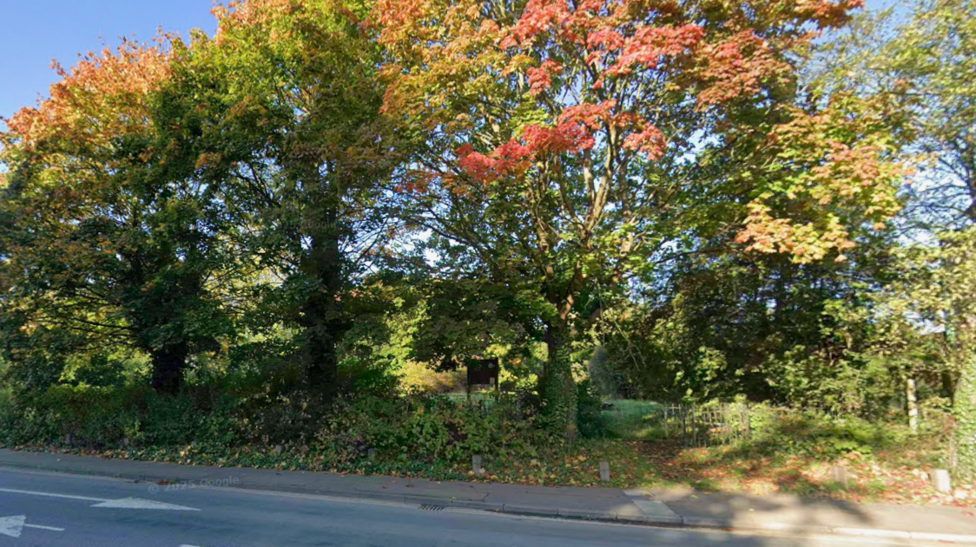 A collection of trees screens the park from the road. There is a small wooden fence that marks the entrance.