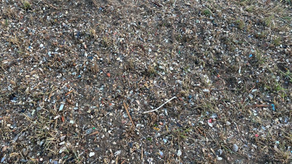 Small fragments of metal, plastic and other small scraps of waste pictured between grass blades close up.