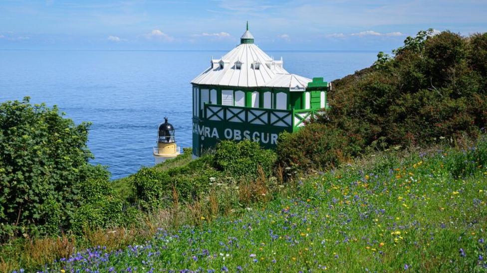 A wildfower meadow in front of the Camera Obscura on Douglas Head. A calm blue sea lies below on a sunny day.
