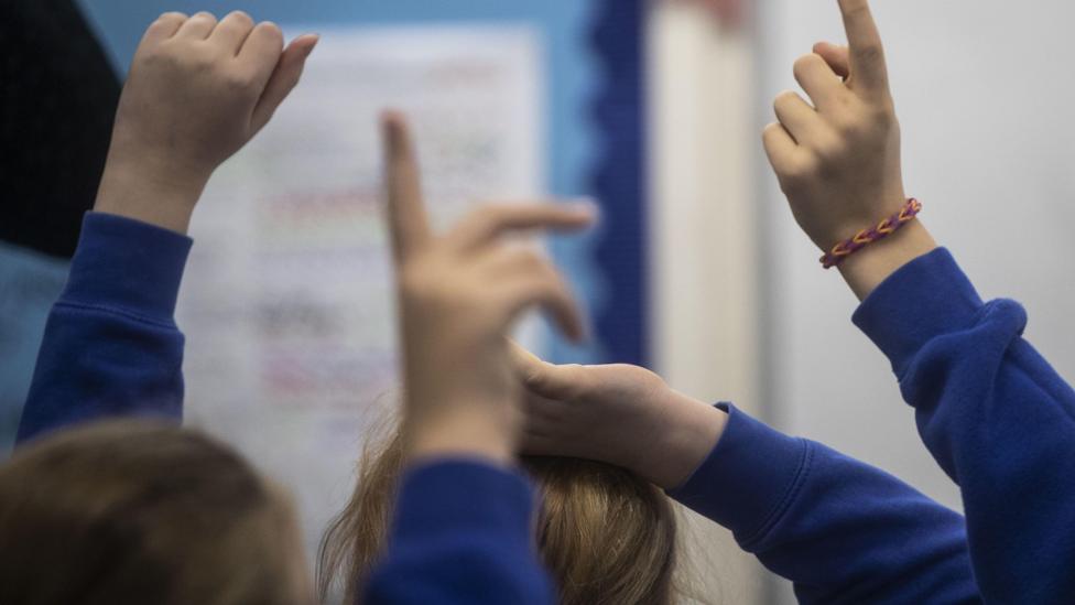 A generic photo of the back of several primary school children wearing blue jumpers. They have their hands up to answer questions.