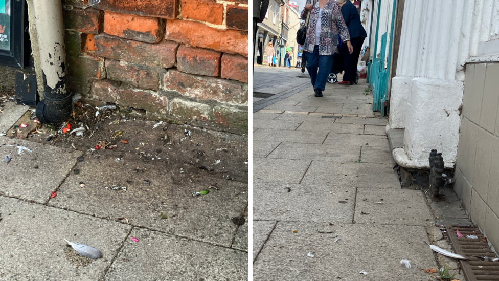 Images show pigeon droppings, feathers and other mess on pavements, which gathers at the edges of the street, where the pavement meets buildings