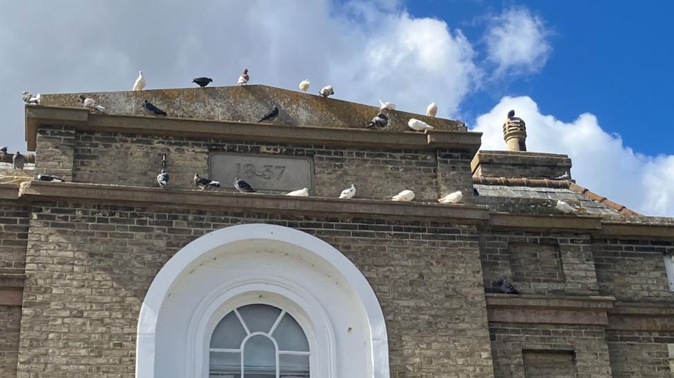 Pigeons resting on the stone ledges of a large stone building with a Georgian arched glass window. The sky in blue with some clouds.
