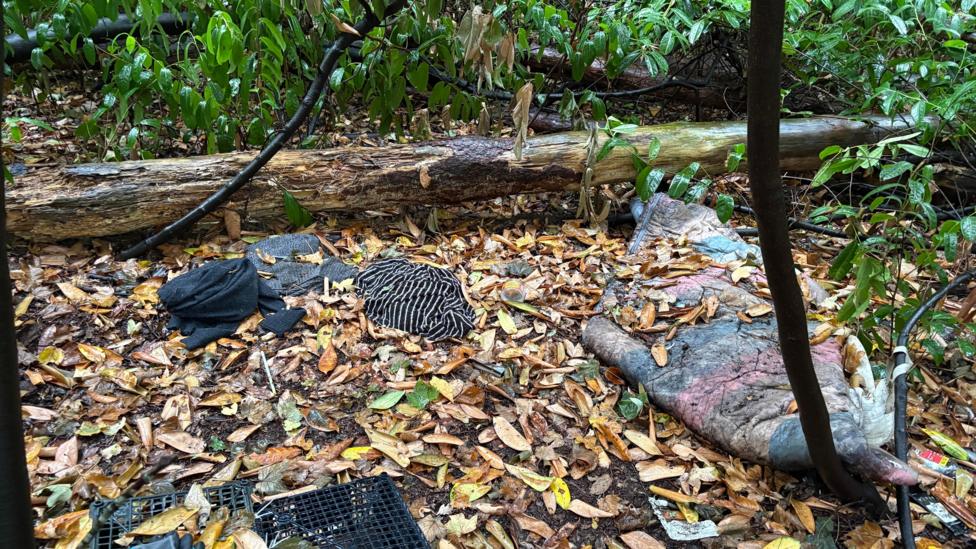 Amid fallen brown leaves and a long log in a wooded area, is a grubby, mud-stained sleeping bag, which is on the right, and what appears to be three items of dark clothing scattered on the left. The image is framed by green foliage to the top and sides.