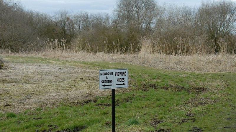A large meadow area with trees in the background. In the foreground a sign reads: 'Meadows and Screens' with an arrow pointing left - and 'Viewing Hides' with an arrow pointing right.