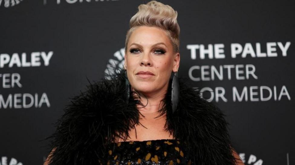 Pink wearing a black, feathery outfit on a red carpet.