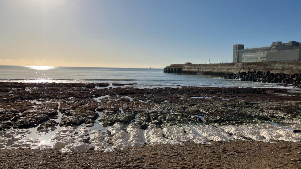 A low-tide rocky shoreline under a clear blue sky has pale chalk ridges and dark seaweed-covered rock pools in the foreground. Sunlight reflects off the water. On the right, a concrete harbour wall and marina buildings extend into the sea with black coastal defence blocks at the base.