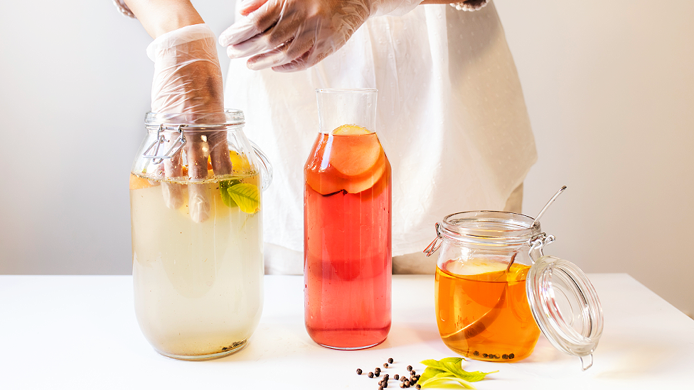 Three glass jars of decreasing size sit on top of a white counter. The jar on the left is cloudy lemonade colour, the middle is pinky-red and the right is light orange/tea with a spoon in it. All have scobys or fruit slices on the top of the liquid. A person whose torso and upper legs are visible dressed in white stands behind. They have clear plastic gloves on and have one hand in the top of the left far. There are some leaves and berries in the jar. In the front of the table is a sprig of elderberries with leaves attached.