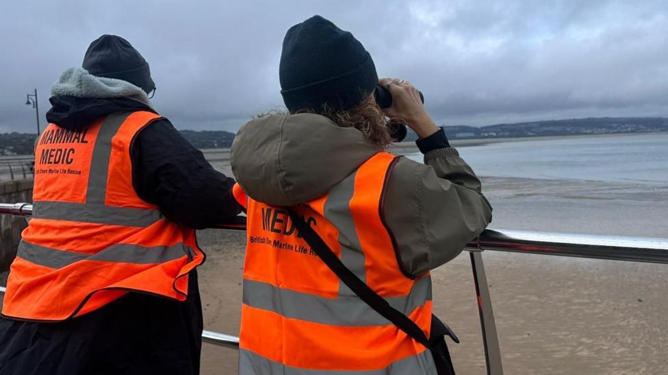 a man and a woman lean on a silver railing overlooking the sea. they are wearing orange gilets the say marine medic on the back. the woman is looking out onto a beach and the sea through binoculars.