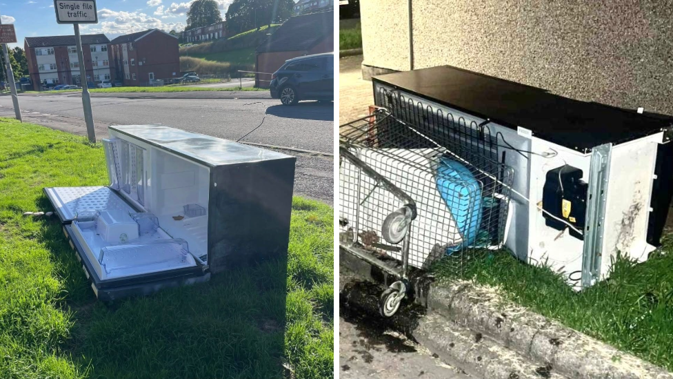 Side by side images of fridge freezers on patches of grass at the side of a road. Both have been fly-tipped. On the right, a shopping trolley is next to the appliance suggesting it was being carried on top the trolley.
