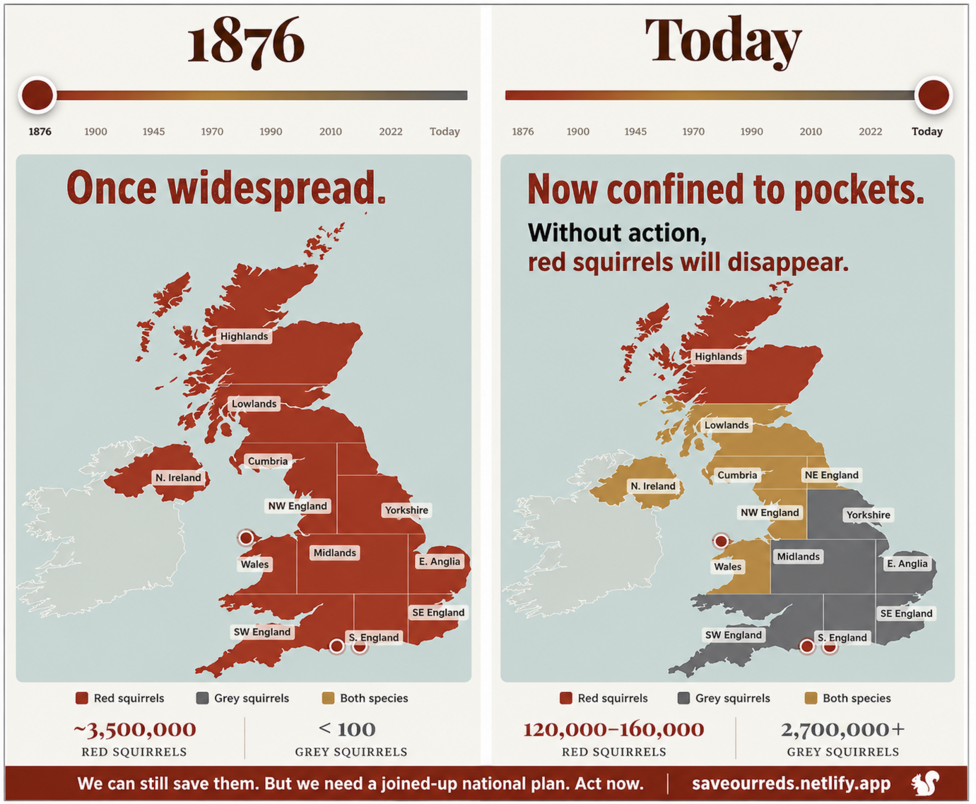 Two maps illustrate the population of red and grey squirrels in 1876 and 2026.