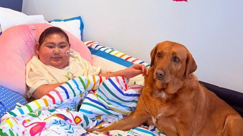 A child sitting in a bed with a dog. The bedding is multi-coloured and has a flamingo on it.