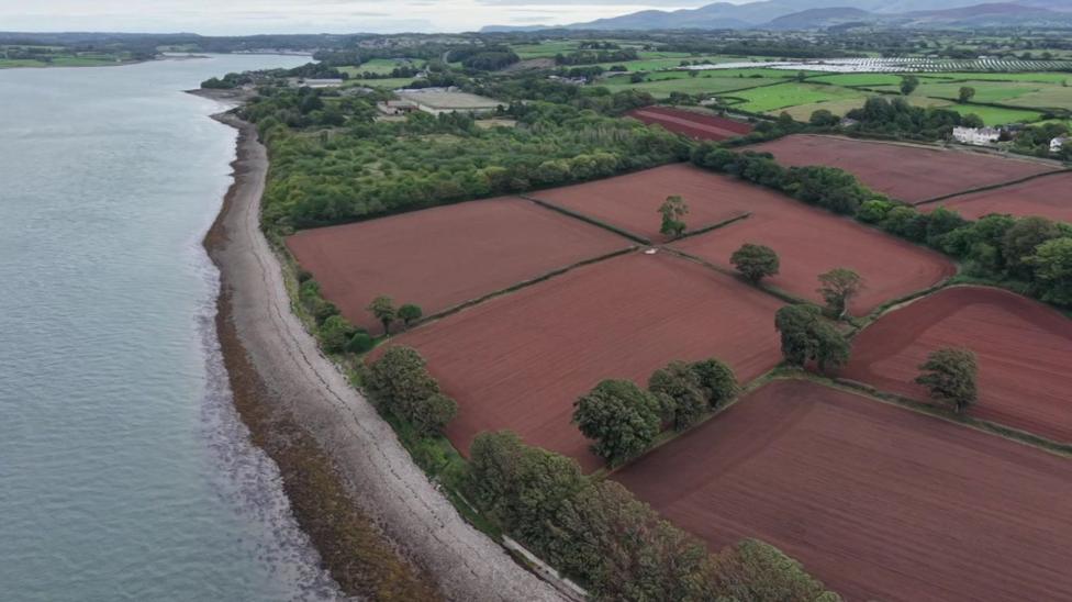 Drone shot of proposed site with large plots of land covered in soil divided by paths, some lined with trees
