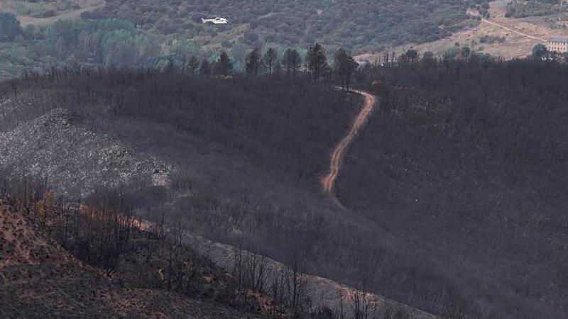 The aftermath of a wild fire on a hillside in north western Spain in August