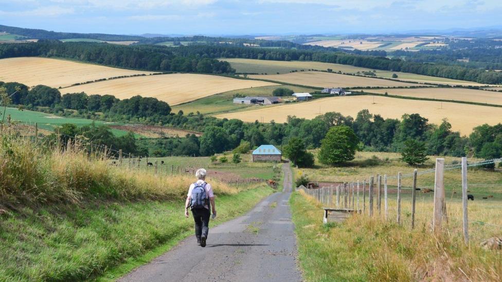 A man walks with a backpack on through the rolling Scottish Borders countryside