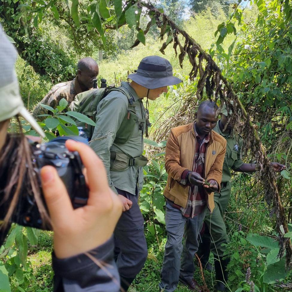 The image shows a group of researchers examining a sample of plant material. They are surrounded by dense, green forest. There are two people in the main part of the image - one is showing a small piece of plant material to another. In the foreground, another person can just be seen from behind taking a photograph of the scene.