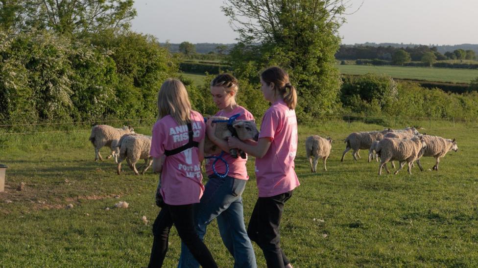 Three women carry a lamb in a field with sheep behind them, wearing T-shirts that read "Animal Rising".