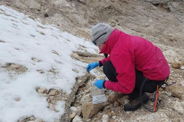 Researcher Marie Šabacká dressed in a bright pink jacket and black paints, takes samples of snow and places them into a labelled clear plastic bag