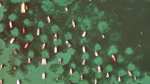 An aerial view of dozens of boats anchored in shallow water. Around each one is a large space in the seagrass on the seabed.