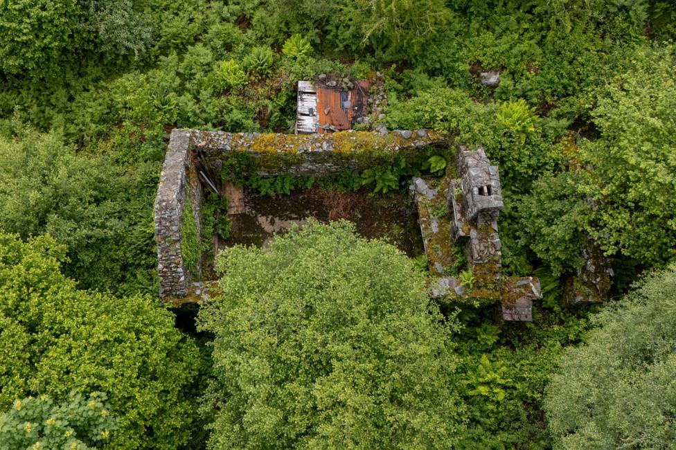 same photo as above from a different angle