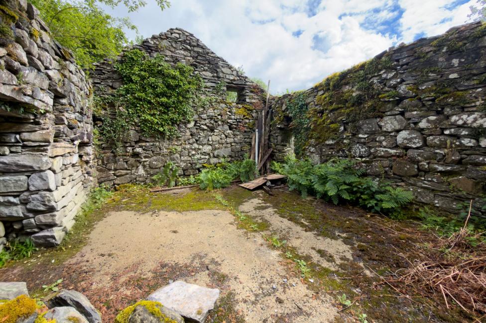 Inside ruin, ivy and moss cover the stone walls while ferns grow around the edges. Broken wooden boards lean in one corner. A partly cloudy sky is visible through the open roof.
