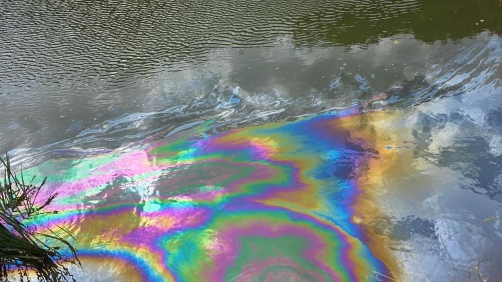 Rainbow-coloured substance on a large area of the surface of the River Avon