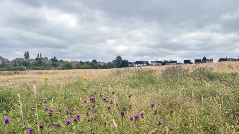 A wide view of a meadow filled with tall grasses and purple wildflowers. Houses are visible in the distance beyond the field, with trees along the horizon. Thick grey clouds cover the sky, creating an overcast landscape scene.