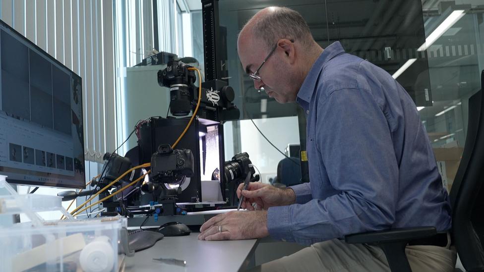 In a bright scientific imaging laboratory, a man in a blue shirt sits at a long white workbench, leaning forward in concentration. He holds fine tweezers over a small object or specimen on the desk. To his left, a large computer monitor displays a photo-management or imaging program with tiny insect photographs and scientific images. Behind the work area, several digital cameras are mounted on stands around a brightly lit specimen box, connected by yellow cables. Clear plastic containers, small tools and a computer mouse sit on the bench. Tall vertical blinds admit daylight. At right stands a large white machine labelled “Axio Scan.Z1”, used for high-resolution imaging.
