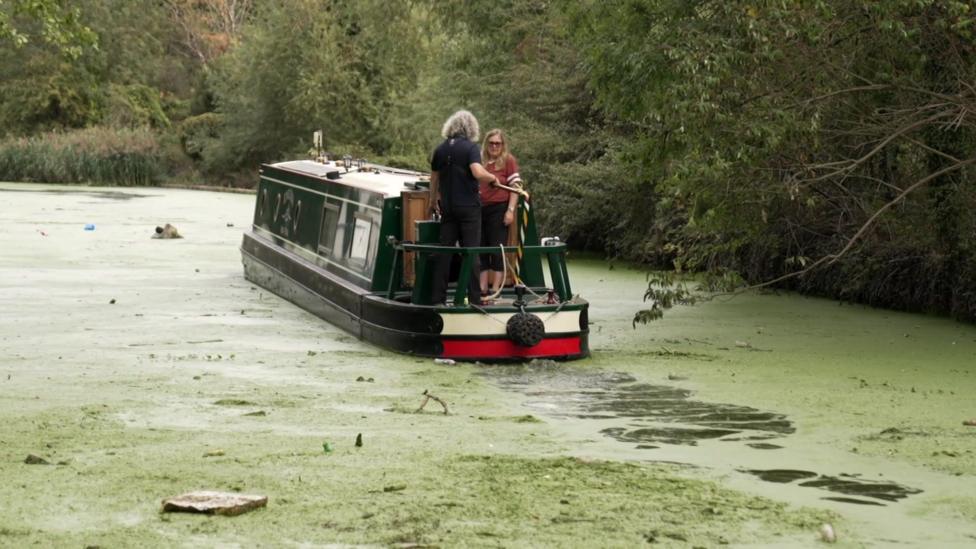 A narrowboat pushes through a stretch of canal completely covered in green algae, with litter floating on top