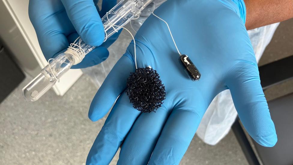 The equipment, which includes a small sponge and a capsule, is held in a gloved hand