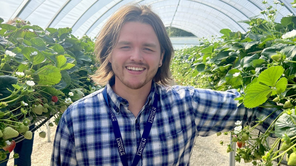 Smiling and wearing a blue checked shirt, Raymond Martin stands in greenhouse next to strawberry plants.