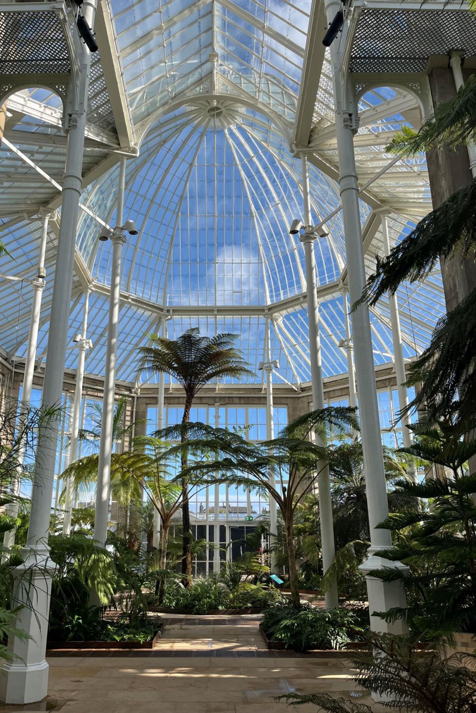 A vertical image of the glass house, taken from a short distance, showing the significant height of the building, its clear glass panes, its domed glass-roofed structure and all the palm trees.